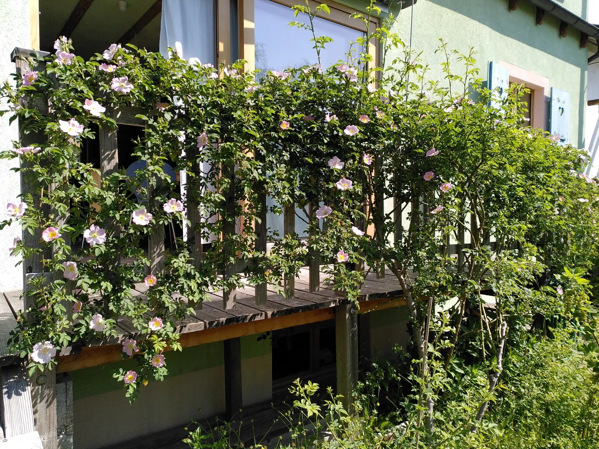 Rosengarten